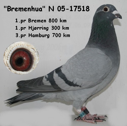 Bremenhua